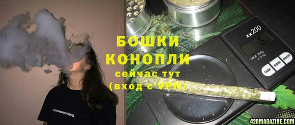 прущая мука Богданович