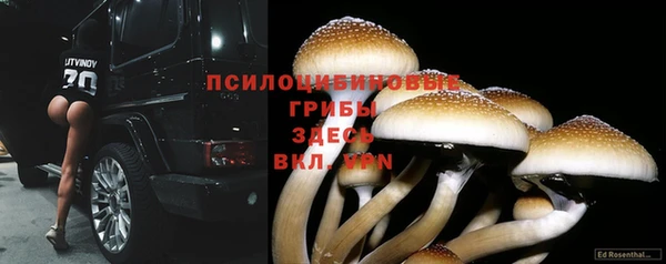 эйфоретик Бородино