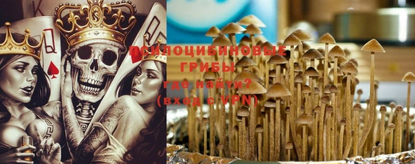 амф Дмитров