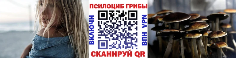 МЕГА как войти  Электрогорск  Галлюциногенные грибы прущие грибы  магазин продажи  
